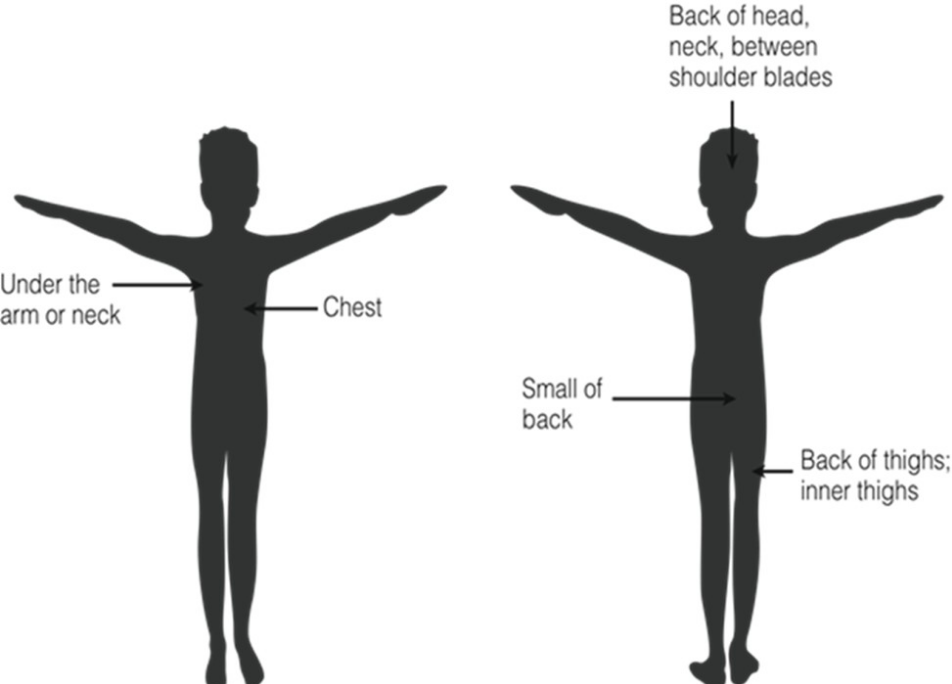 Child Abuse Screening Guide
