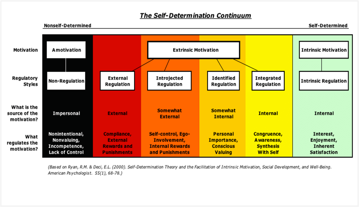 Self-Determination Theory